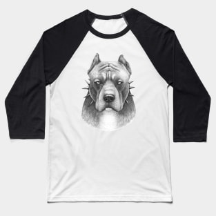 Pitbull Baseball T-Shirt